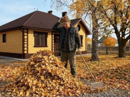 ​Талдан түскен ЖАПЫРАҚТАРДЫ өртемей, ПАЙДАҒА ЖАРАТУҒА болады