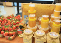 Кооперативтер мен жаңа өндіріс орындары: «Ауыл аманаты» бағдарламасының нәтижесі