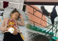 Ақтөбедегі мектепте оқушы баспалдақтан құлап, миы шайқалды