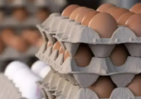 Қазақстанда жұмыртқа импортына уақытша тыйым салынды