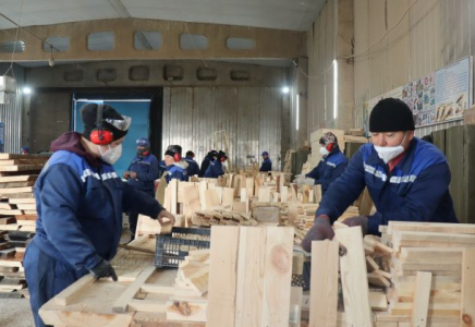 ​ҚР ҚК мамандарының біліктілігін арттыру: әскеи аумақта ағаш өңдеуді оқыту семинары өтті