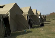 Шымкентте оқушыларға арналған оқу-дала жиыны жалғасуда