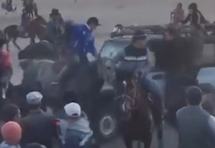 Қызылорда облысында көкпарда автокөлік аттарды қағып кетті (ВИДЕО)