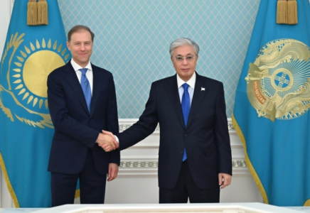 Мемлекет басшысы Ресей Федерациясы Үкіметі Төрағасының бірінші орынбасарын қабылдады