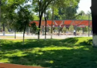 ​CITY PARK – ШЫМКЕНТТЕГІ ЖАҢА ҚОҒАМДЫҚ КЕҢІСТІК