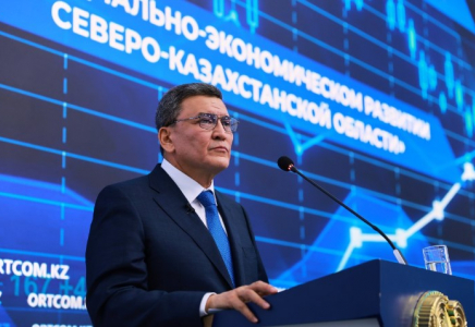 Өнеркәсіптік белдеу және мыңдаған жұмыс орны. «Қызылжар» АЭА аумағында ағаш өңдеу кластері құрылуда