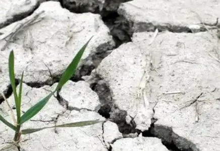 Мамырда Қазақстанның бірнеше облысында қуаңшылық болады