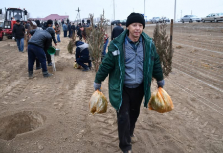 ТҮРКІСТАН: Отырарлық тұрғындар ауыл-аймақты көркейту жұмыстарын бастады