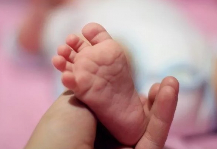 «Аңсаған сәби»: Шымкент қаласына 400-ден астам квота бөлінді