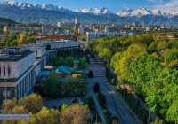Алматыда жұмысшылар газонды бояп тастады