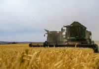 Өңірлерде егін жинау науқаны басталды