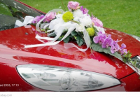 Оралда той кортежінде ереже бұзғандарға айыппұл салынды 