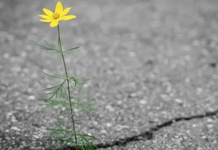 Таиланд астанасының орталық көшесінде үлкен шұңқыр пайда болды Таиланд астанасының орталық көшесінде үлкен шұңқыр пайда болды