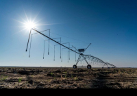 Жетісу облысында жаңбырлатып суару жүйесі қолға алынды