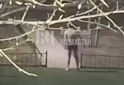 Астанада пышақ ұстаған жалаңаш ер адам жұрттың зәресін ұшырды (ВИДЕО)