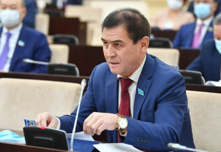 ​Сенатор Н.Бекназаров Премьер-Министрге депутаттық сауал жолдады 