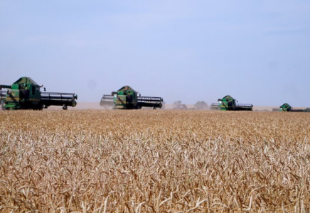 АӨК дамуының жаңа деңгейі: Президенттің тапсырмасы бойынша прогрессивті агроэкономикаға көшу басталды