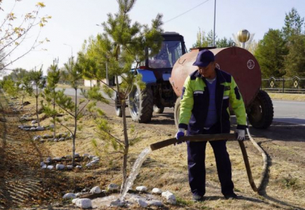 ТҮРКІСТАН: 1 аптада 200-ден астам тазалық шарасы өтті