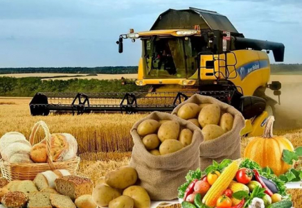 ТҮРКІСТАН: Агроөнеркәсіптік кешенде 45 жоба іске асырылады