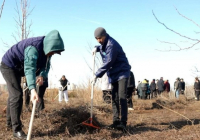 ​Елімізде Тазару күніне екі мың жас белсене қатысты