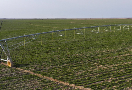 ТҮРКІСТАН: Агроөнеркәсіп кешеніндегі ең өзекті мәселелер талқыланды