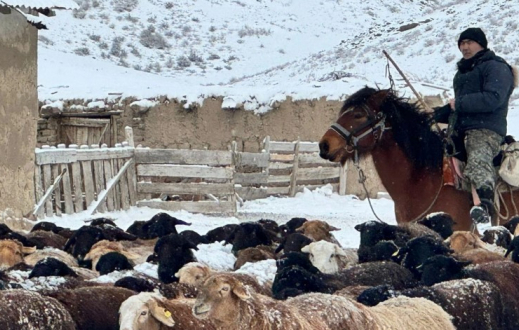 ​Шопандар зиянды жағдайда еңбек ететін жұмысшылар тізіміне енеді