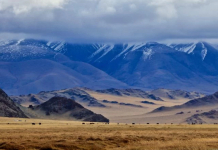 Жаңа Конституцияда 