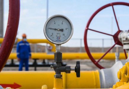 ТҮРКІСТАН: Тілсіз жаудан 18 адам қаза болды