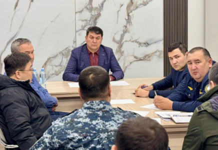 ТҮРКІСТАН: Картоп экспортына байланысты бақылау күшейтілді