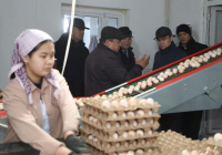 ТҮРКІСТАН: Ералы Тоғжанов Сарыағаштағы инфрақұрылымдық және агроөнеркәсіптік жобалармен танысты