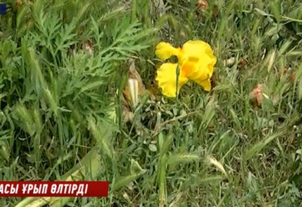 Ағасы ұрып өлтірді деген қыздың өліміне қатысты тың дерек шықты
