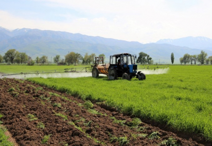 Жамбыл облысында дақылдардың егістік алқабы 640 мың гектарға жетті
