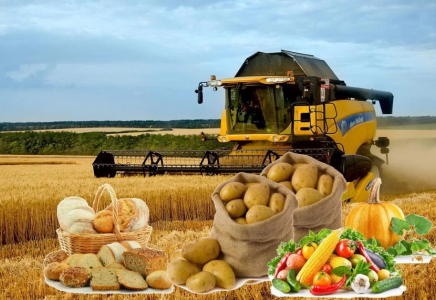 Шымкент ауыл шаруашылығы өнімі бойынша бірінші орында