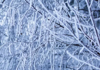 Рекордтық аяз: ШҚО ауылында термометр -56 градусқа дейін төмендеді