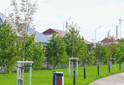 Түркістан облысында күзгі көшет отырғызу жұмыстары қарқынды жүріп жатыр