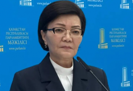 Еңбек министрі “аутист балаларды өлтіруге шақырған“ блогердің сөзіне жауап берді