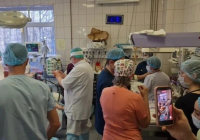 ​Ресейде алғаш рет біржұмыртқалы төртем дүниеге келді