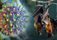 «Ол вирустан вакцина жоқ»: Қазақстан жарқанаттан жұғатын Нипах вирусына қатысты мәлімдеме таратты