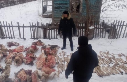 СҚО-да бір жыл бұрын ұсталған браконьер 11 жылға сотталды