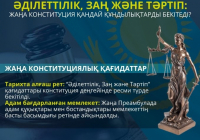 Жаңа конституциялық қағидаттар 