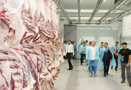 ТҮРКІСТАН: Сайрамда құны 44 млрд теңгеге жуық 20-дан астам өндіріс орны ашылады