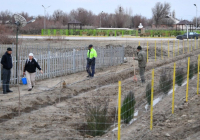 ТҮРКІСТАН: Отырарлық тұрғындар ауылды көркейту жұмыстарын бастады