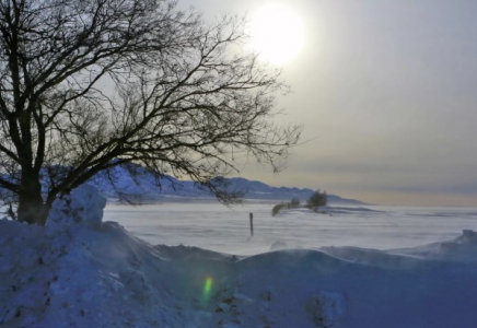 Ақмола облысында жоғалып кеткен ер адам табылды