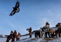 ​Салбурын - саятшылық дәстүрі