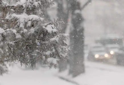 Қазақстанда алдағы күндері қар жауып, боран соғады