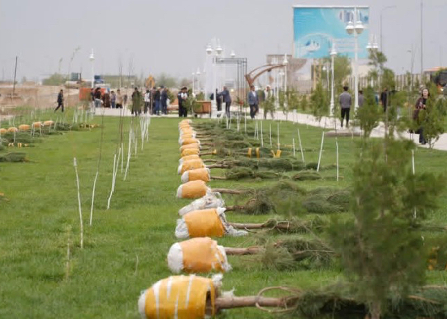 «ТАЗА ҚАЗАҚСТАН»: Түркістанда 2 мың түптен астам ағаш көшеті отырғызылды