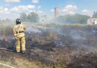 Ақмола облысында 195 гектар алқапты шарпыған ірі өрт сөндірілді