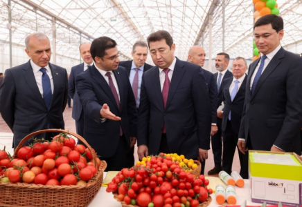 ​ШЫМКЕНТТЕ «ALSERA KZ» ЖЫЛЫЖАЙ КЕШЕНІНДЕ АЛҒАШҚЫ ҚЫЗАНАҚ ӨНІМІ ЖИНАЛДЫ