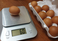 ​14 күнде артық салмақтан арылтатын СУПЕР диета