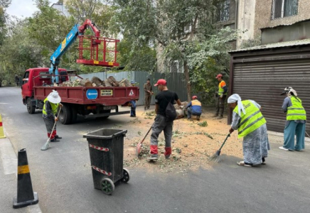 ​Шымкентте «Таза қала» жалпы қалалық сенбілігі жоғары деңгейде өтті